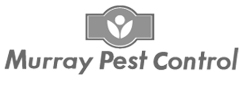 Murry Pest Control